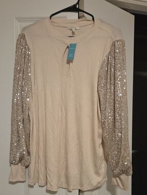 Cream Top with Sequin Puff Sleeves